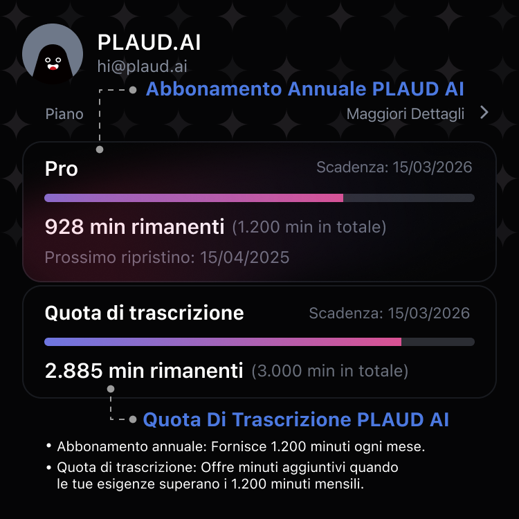 Quota di trascrizione PLAUD AI