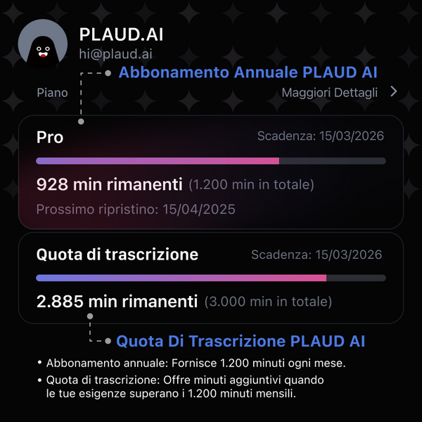 Quota di trascrizione PLAUD AI
